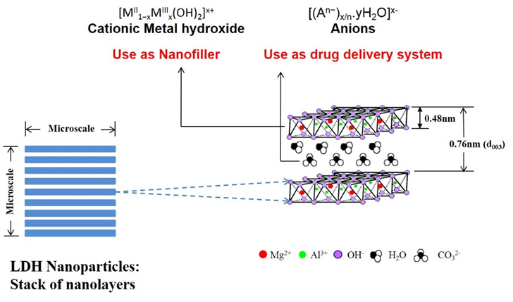Figure 1. Structure of nanoparticle LDH