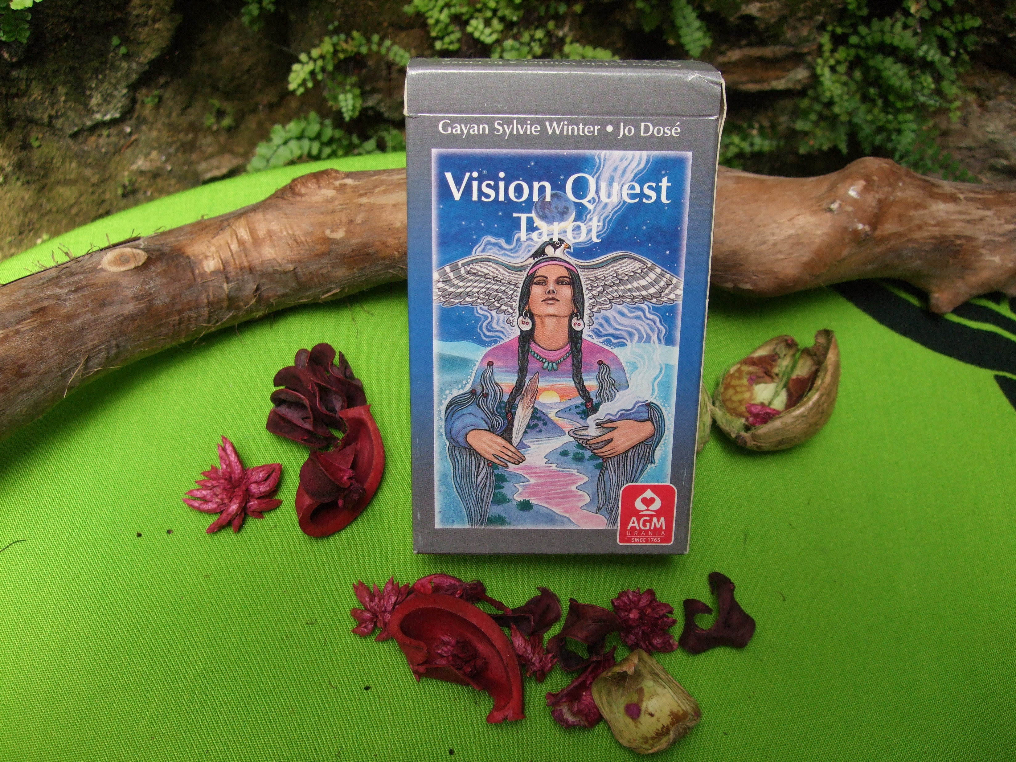 Vision Quest Tarot