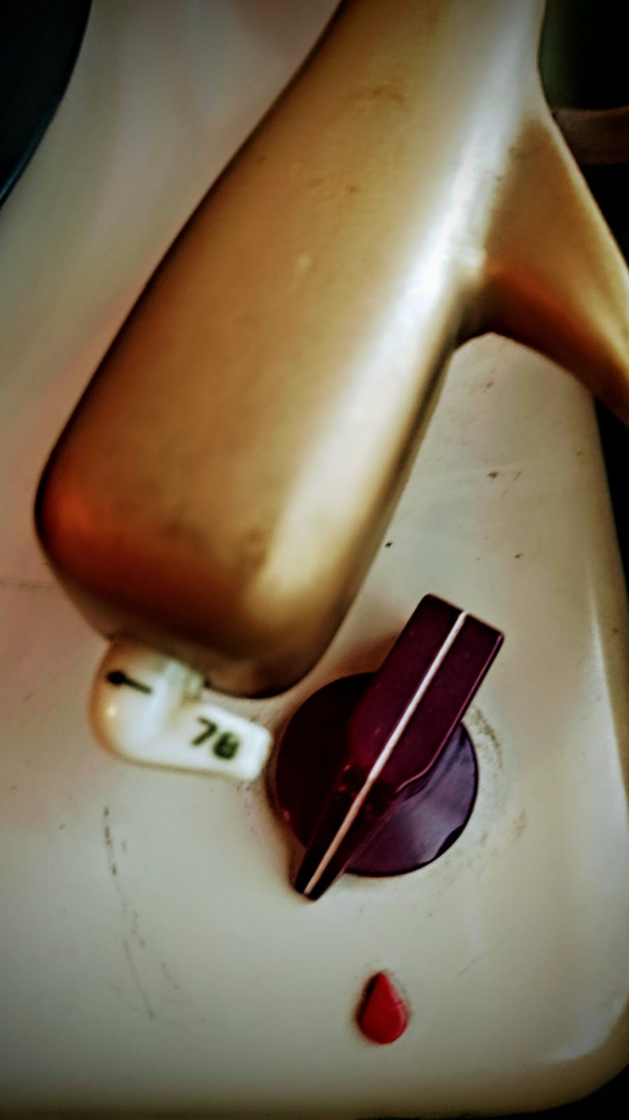 Thumbnail: Lesa Zaffiro