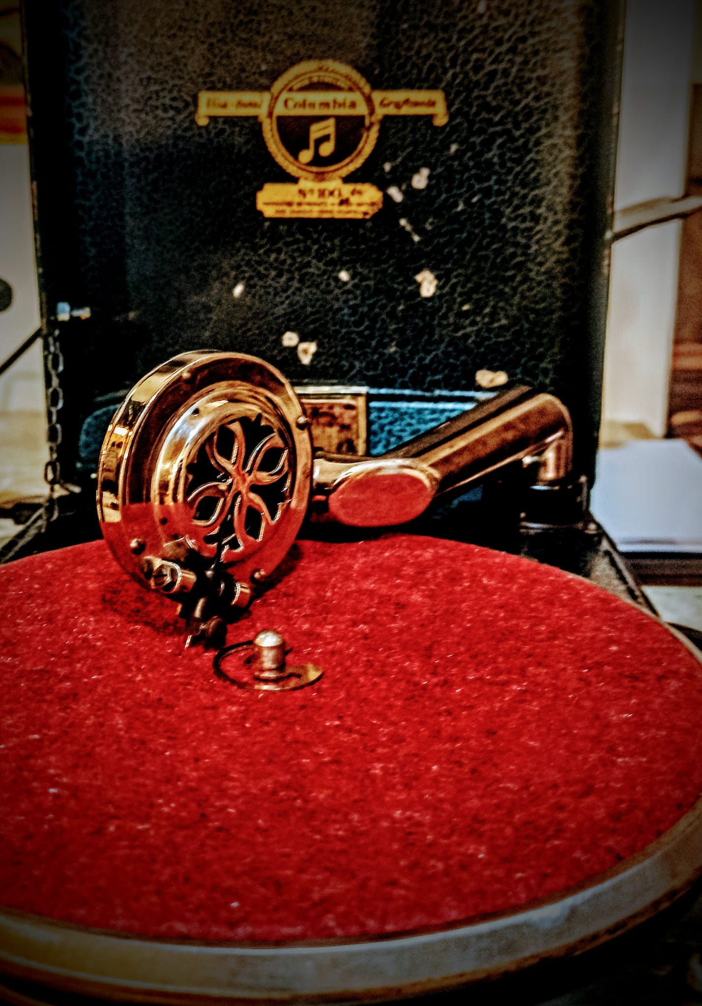 Columbia Viva Tonal Grafonola n.100