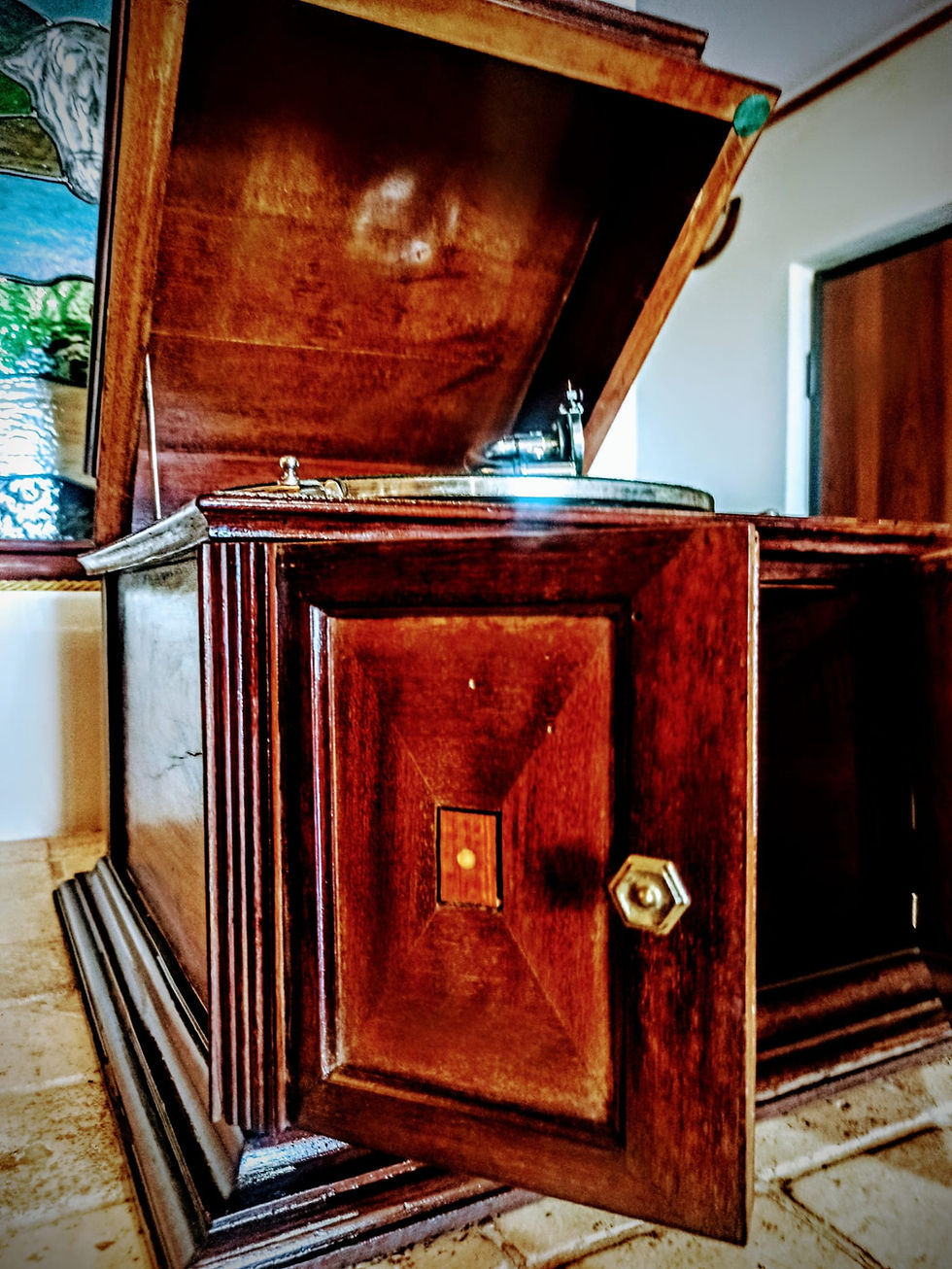 Miniatura: Fonotipia