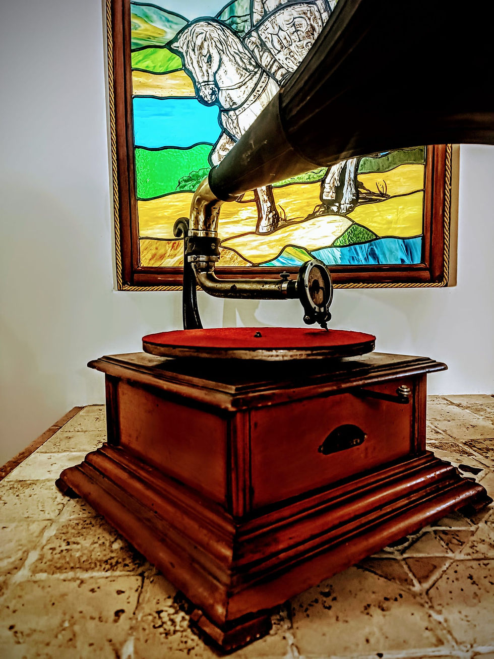 Miniatura: Pathefono Perfection Brown