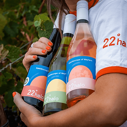 22DegreeHaloWines.png