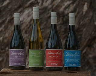 Soldiers Land Group 001 NV_edited.jpg