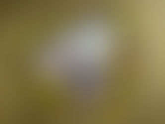 Teenage Dream (Katy Perry)