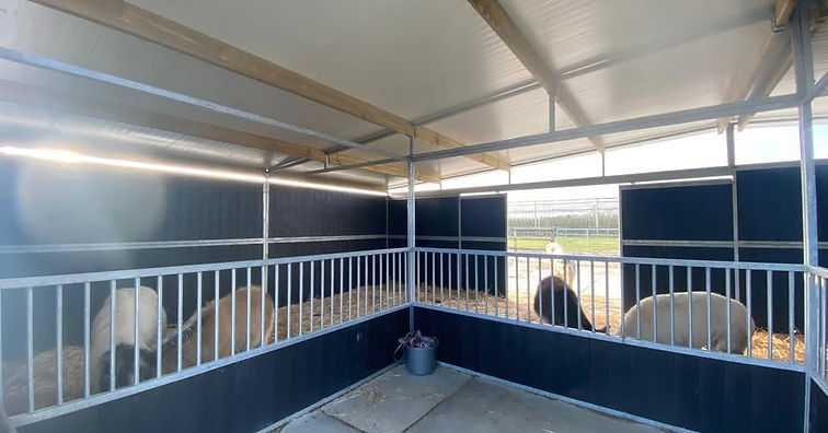 geiten en schapen stal.jpg