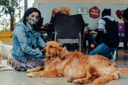 TherPup