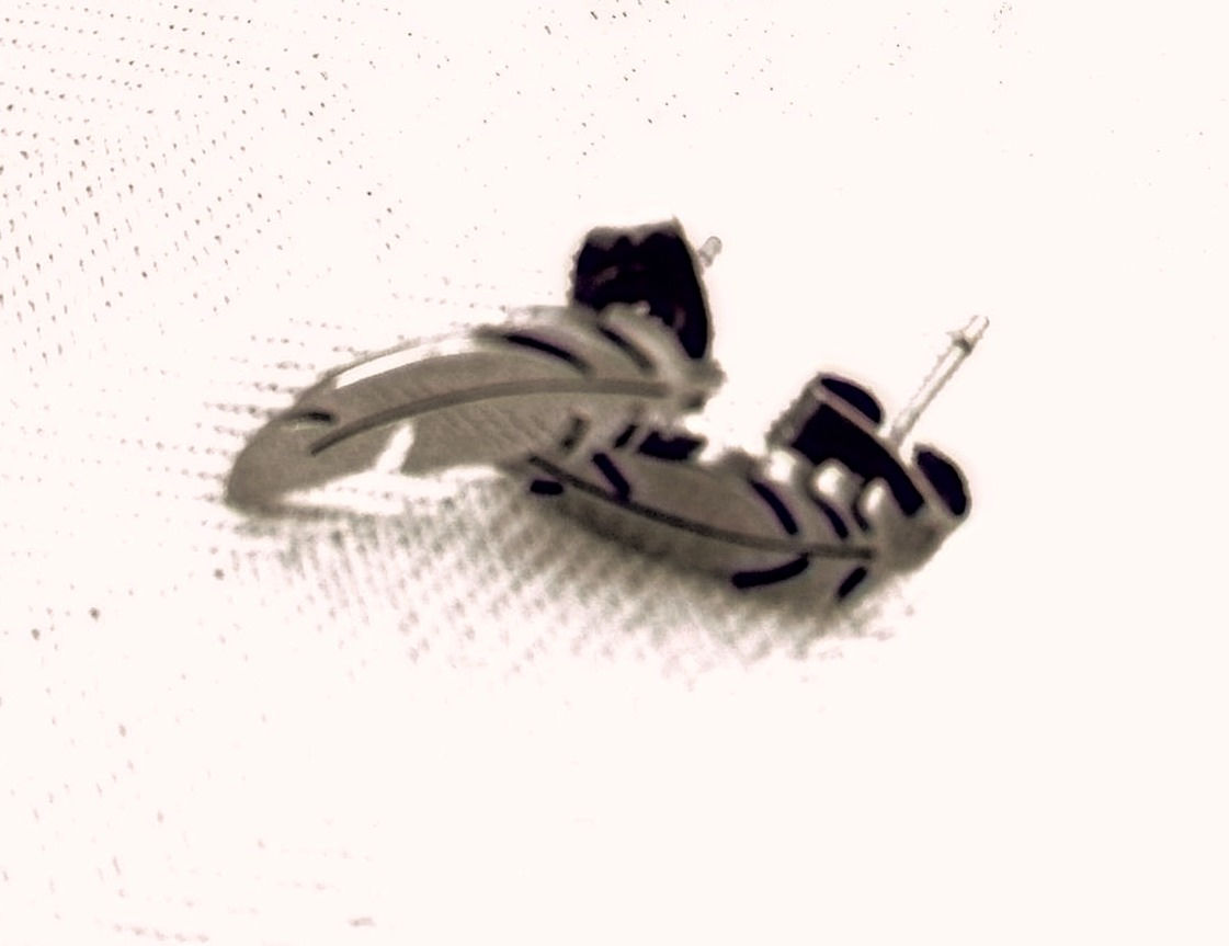Pendientes plumas