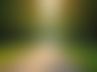 Enhancing Mental Health: Tips from SteadyGround Counseling