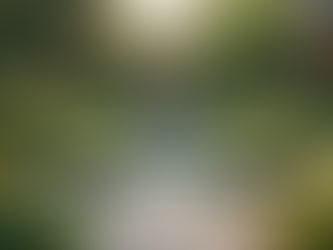 Wellness Strategies for a Balanced Life: Expert Insights