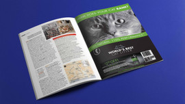 World's Best Cat Litter magazine ad-brand relaunch