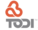 Todi shoes