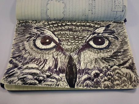 Just a Doodle of an Owl