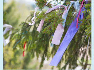 Ribbons tied to a tree branch, symbolizing gratitude