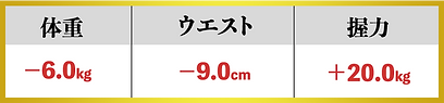 表ハヤシ.png