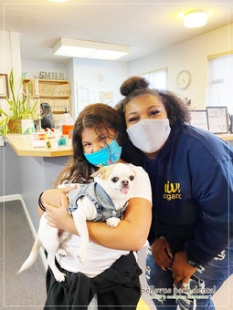 Bellevue Park Dental in Bellevue, WA 98008 Family Cosmetic Implants Invisalign Braces Dentist - Crowns, Wisdom Teeth Extraction, IV Sedation, Kor Teeth Whitening, Tooth Bonding, Porcelain Veneers, Bridges, Fillings, Dentures, Children's Dentistry, Tooth Extractions, Exams, Cleanings, Root Canal Therapy, Dental check Up, Botox & Dermal Fillers, Inlay & Onlays
