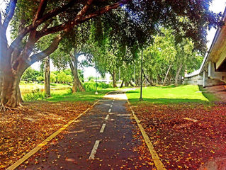 PARQUE LAS RIBERAS