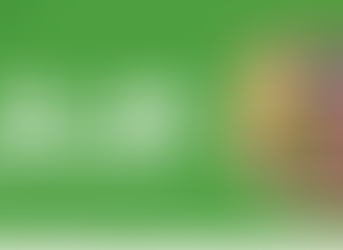 Burrito Bowl on green background