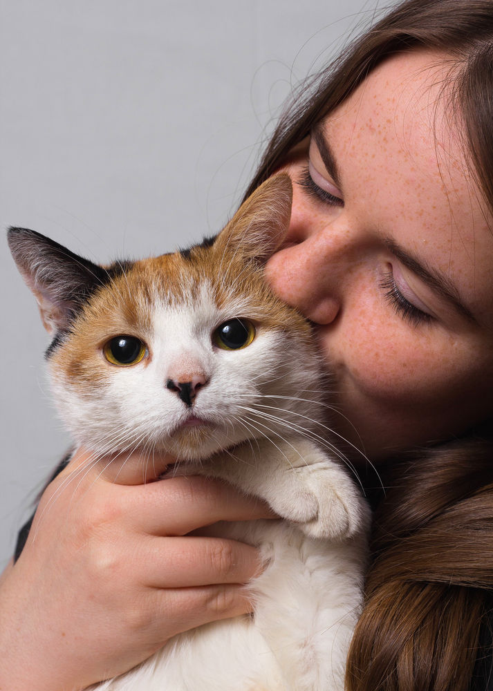 Do Cats Like Being Hugged?