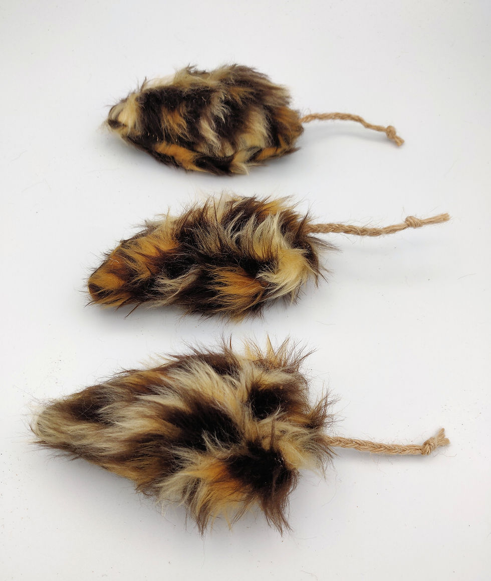 Thumbnail: Honeysuckle Mouse