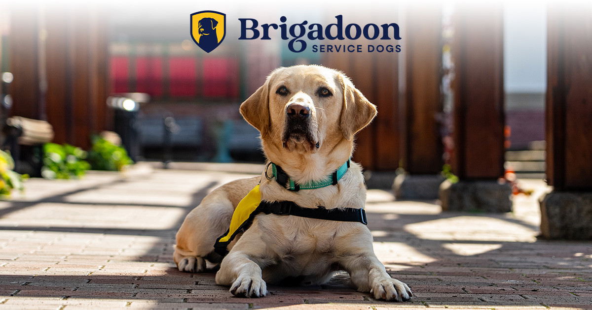 Brigadoon Service Dogs logo