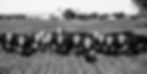 SBJ14238 - Copy.jpg