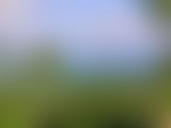 Bosque seco tropical