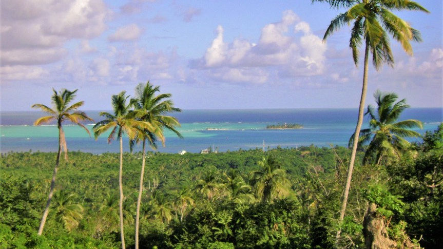 Visita el Bosque Seco Tropical en San Andrés