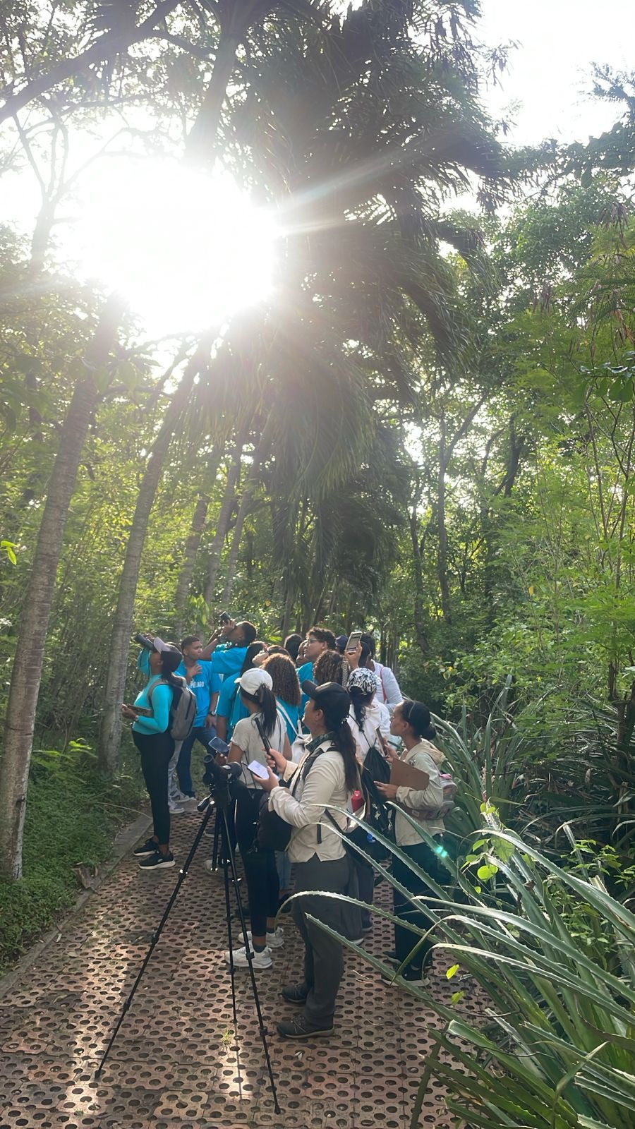 Nuestro recorrido de avistamiento de pájaros en el Jardín Botánico de la Isla de San Andrés