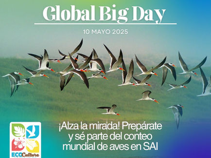Global Big Day 2025