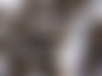 Chinese Mystery Snail (EXOTIC)