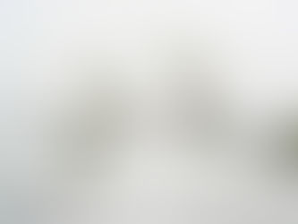 Spiny Naiad (Najas minor), aka European Naiad - Invasive