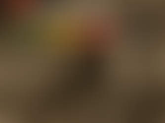 Katastrofa kolejowa – triage i ratownictwo w pierwszej godzinie 🚂🩸 – kulisy medycznego wsparcia przy katastrofach kolejowych