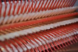 IBIZA BRUSHES