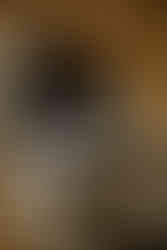 Black and white Wedding stationery