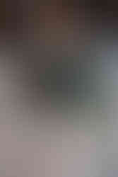 A bride holding summer flowers by Evergreen Floral Design with lots of deep reds and blues, blush pinks, ferns and green foliage.