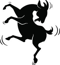 Dancing Goat