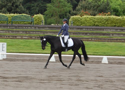 Heart of the Valley 2016