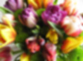 colorful flowers