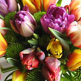 colorful flowers
