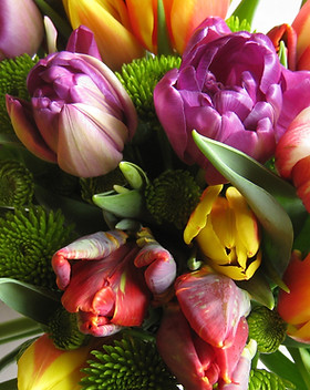 fleurs colorées