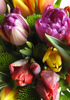 Flores coloridas