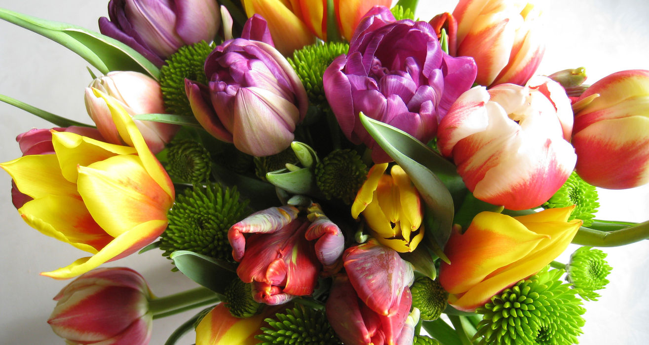 Bunter Tulpenstrauß