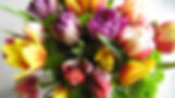 colorful flowers
