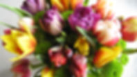 fleurs colorées