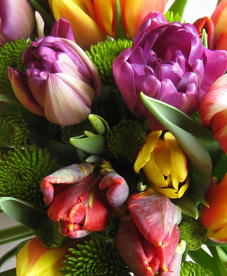 colorful flowers