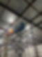 IMG_4391 (1).jpeg