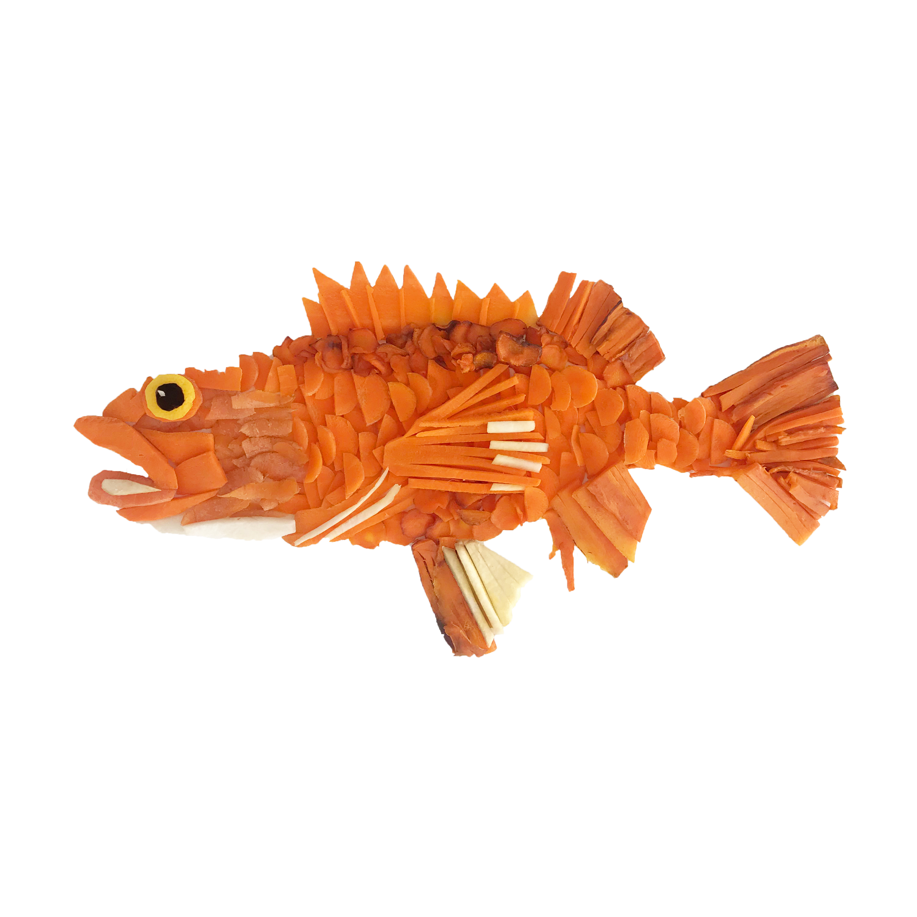 Rockfish