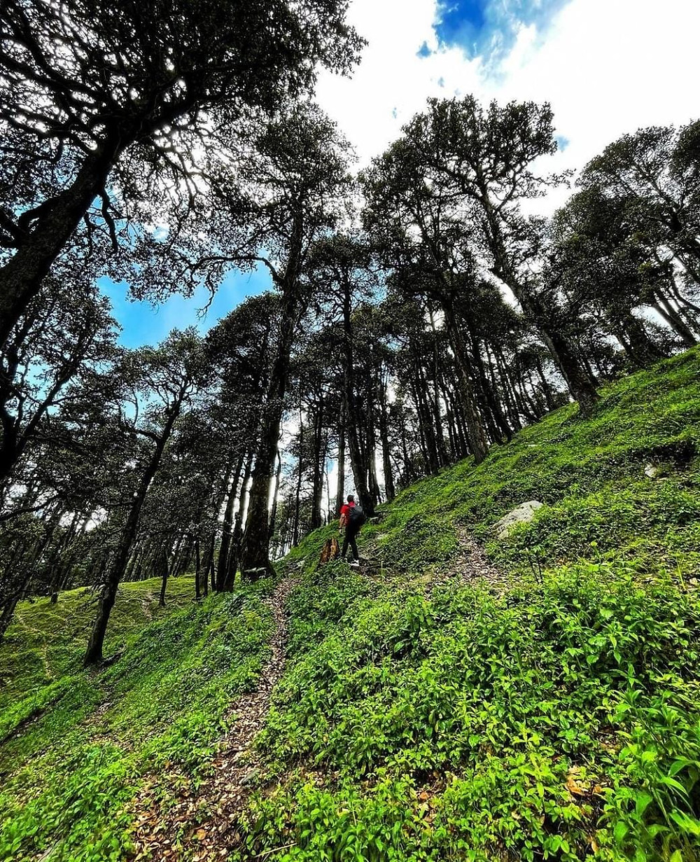 Jalori Pass is a must visit destination near Tirthan