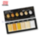 ZIG MC20SC6V web A 顏彩耽美(金屬色) 6色水彩磚套裝 LTLogo 1200x1200.jpg